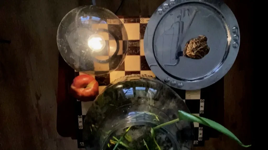 A lamp, a frog on the silver plate, a plant in a glass vase, an apple placed on the chess table from the top view.