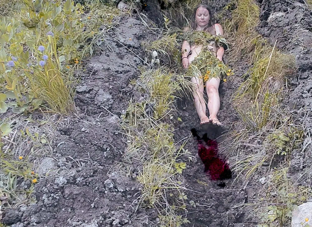 In a hole dug in the clay ground lies a naked person with his eyes closed. On top of the character are pieces of vegetation braided. On the foot of the character on the ground, a small figure dressed in a pink jumpsuit crawls. The pit is surrounded by weeds and broad beans. The soil is partially turned upside down.