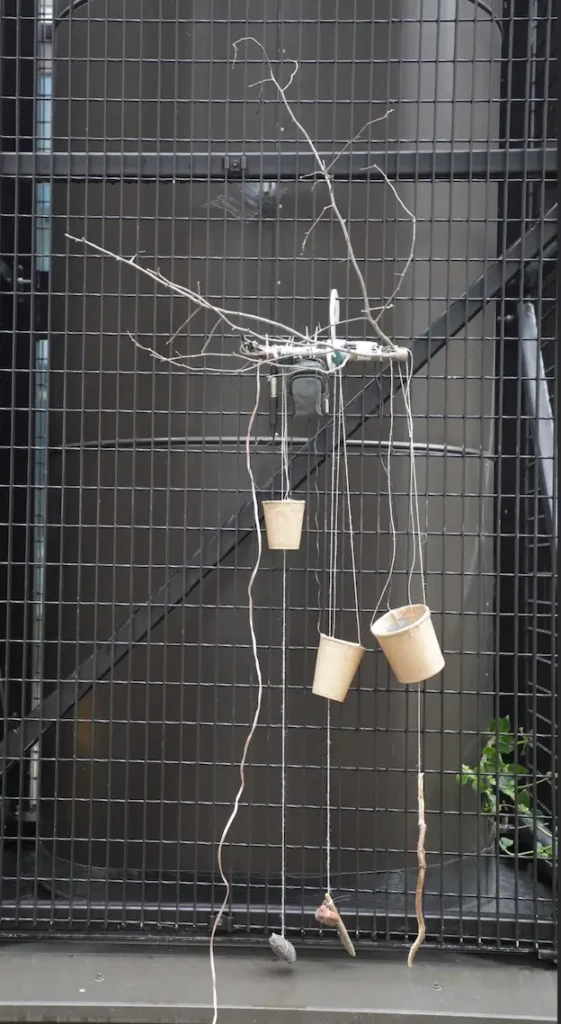 The Cup Harp hanging on a grid in the courtyard