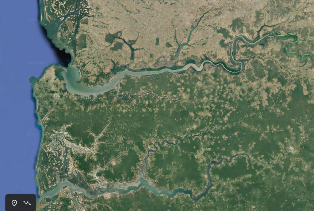 Satellite map of the Senegambia region in West Africa, showing the Gambia River flowing westward across the top toward the Atlantic Ocean, and the Casamance River running roughly parallel to it in the lower part of the image, with green forested areas and lighter patches of land visible between and around the rivers. No territorial borders or locations are marked.
