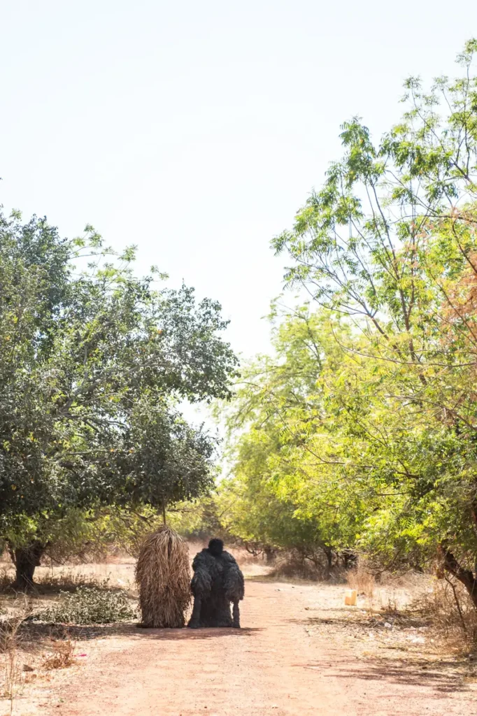 Two Jola masquerades are walking together on a dirt path surrounded by trees as they emerge from a forest in Janjangbureh, The Gambia. The kumpo masquerade on the left is light brown, made from dried leaves and carries a stick on its top. The other masquerade, known as agomela, is dark brown and rests its arms on thick sticks made of the same material.