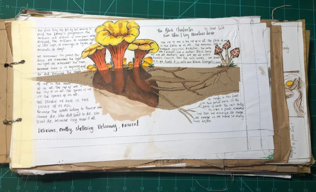 an example page oof these sketchbooks with a drawing of mushrooms and roots surrounded by text